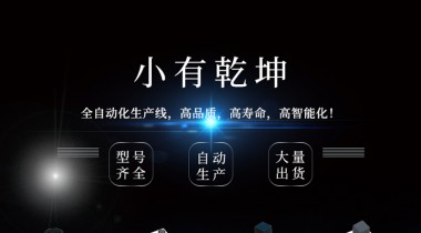 直插式bd中国官方网站
尺封装