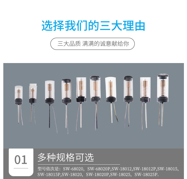 SW-18020P半岛网站多特蒙德赞助商